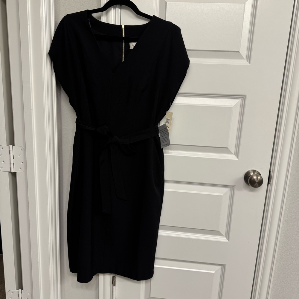 Eliza J Ruffle Sleeve Sheath Dress - Picture 2 of 6